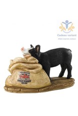 Varken piggy wiggy beeld