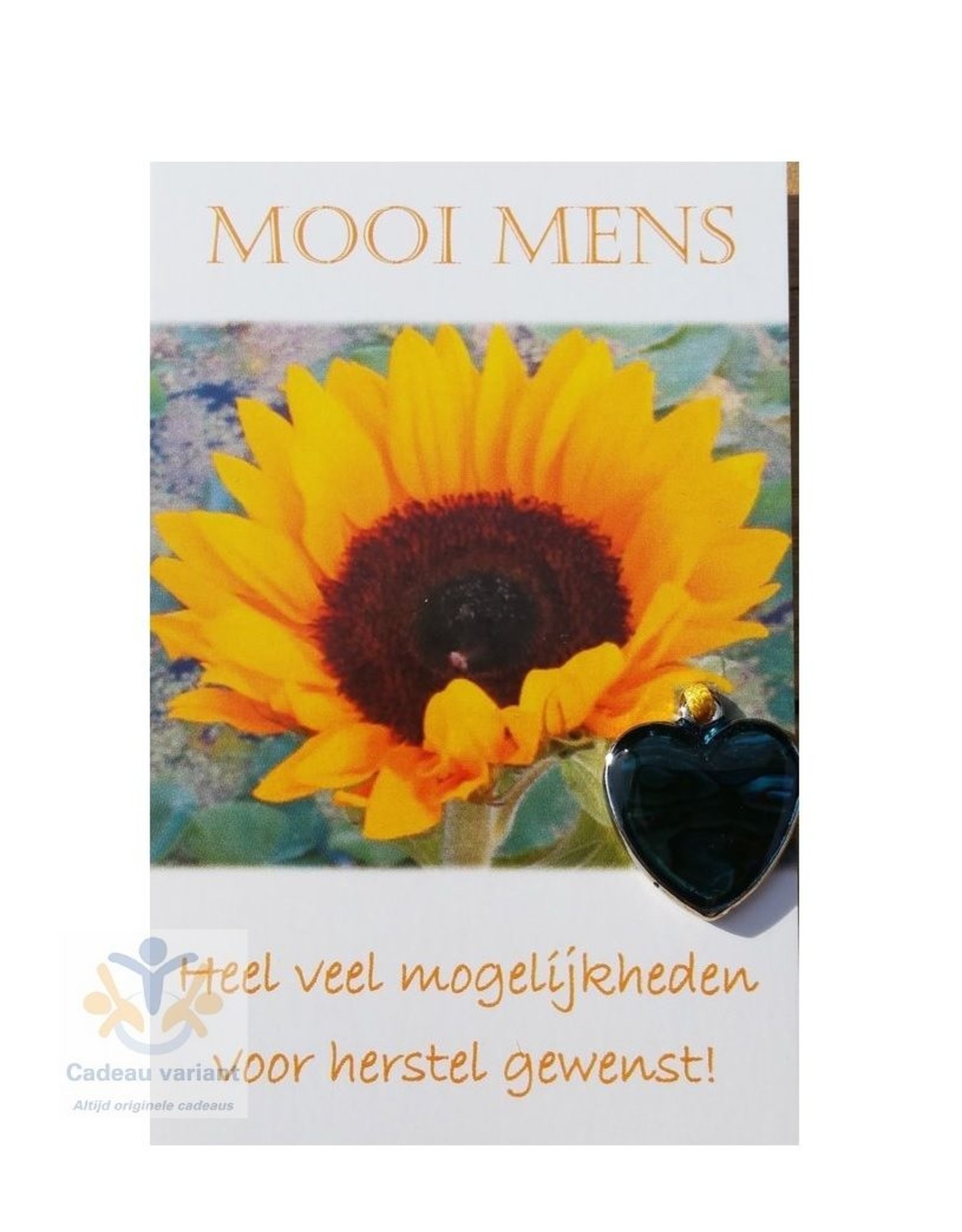 Mooi mens kaarten Mooi mens veel mogelijkheden voor herstel