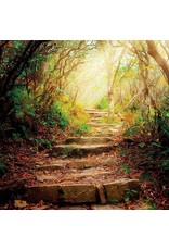 Zintenz Wenskaart the road ahead