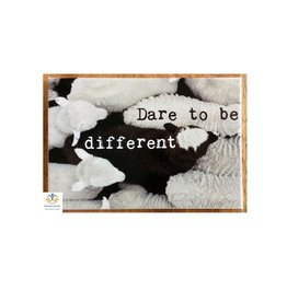 Zintenz Magneet dare to be different