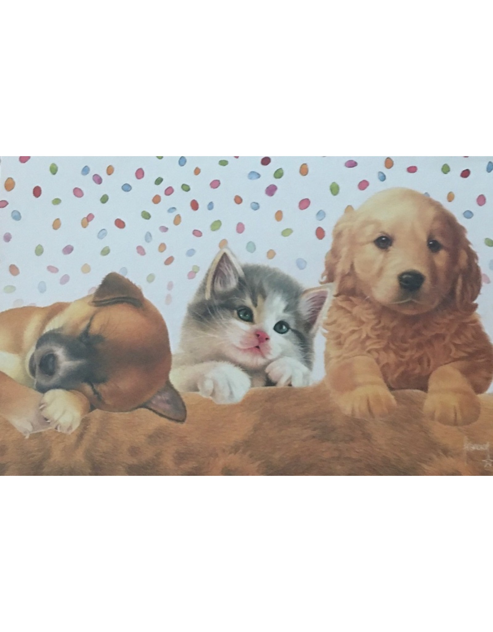 Francien van Westering Honden en poes wenskaart  D