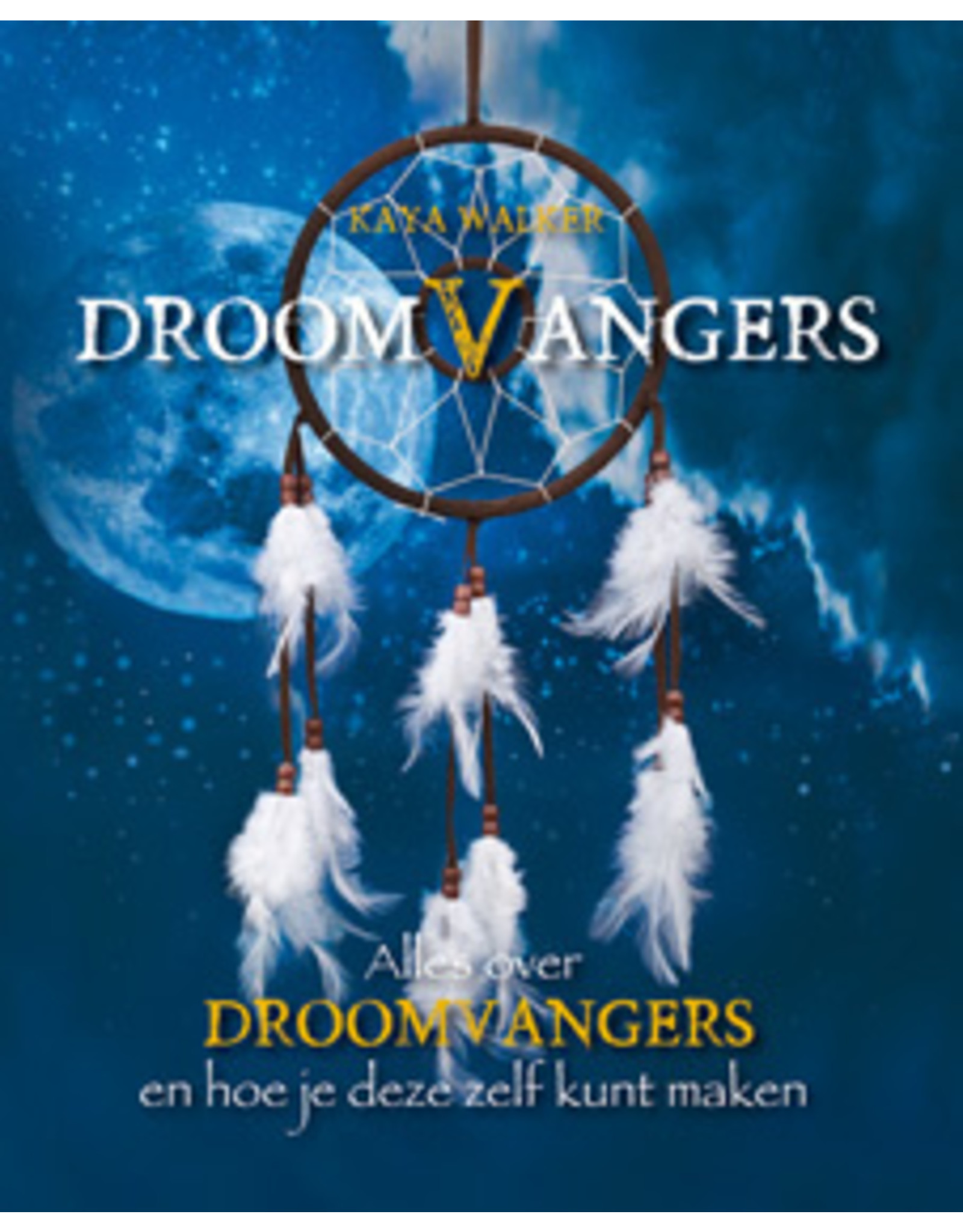 Droomvangers boek