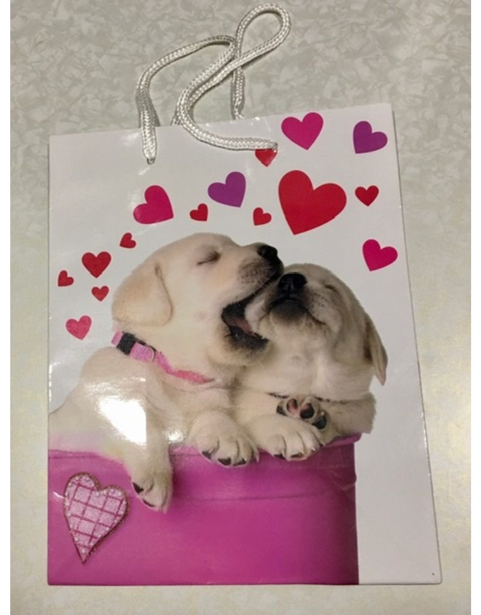 Winderig overstroming Luik Cadeau tas Valentijn hond - Cadeau variant