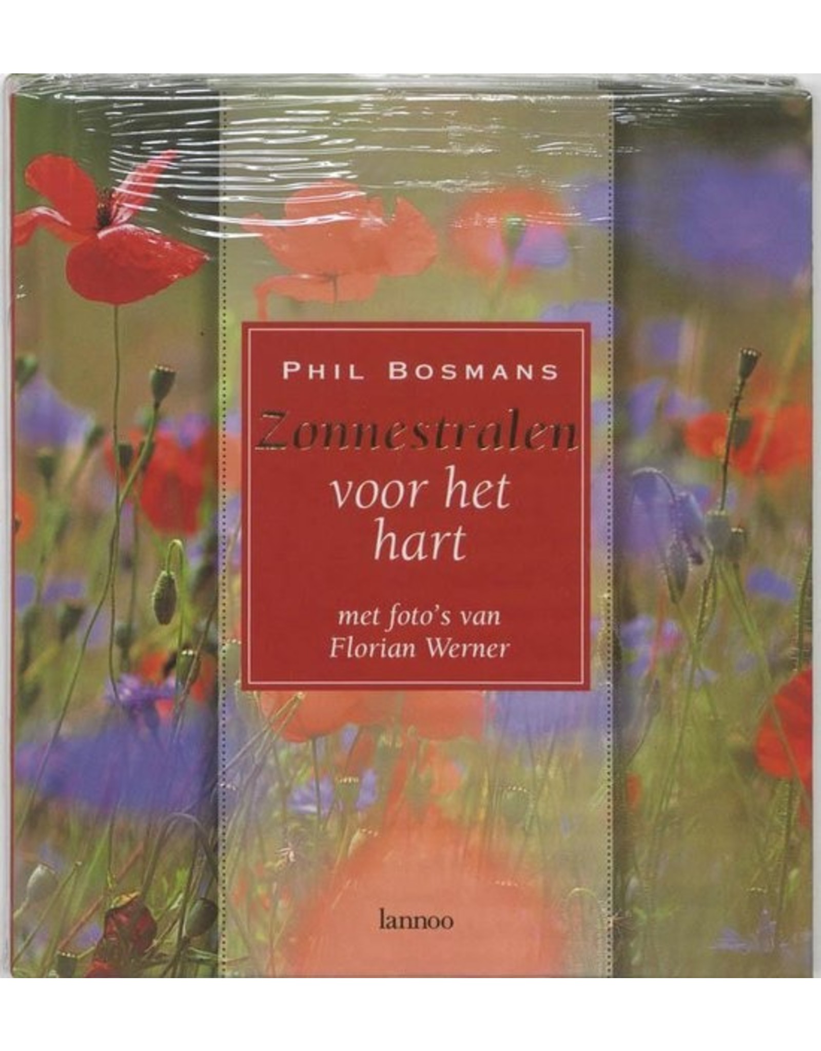 Zonnestralen voor het hart boek