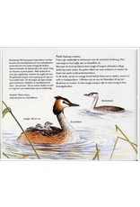 Kijken naar vogels boek