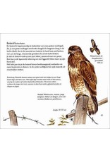 Kijken naar vogels boek