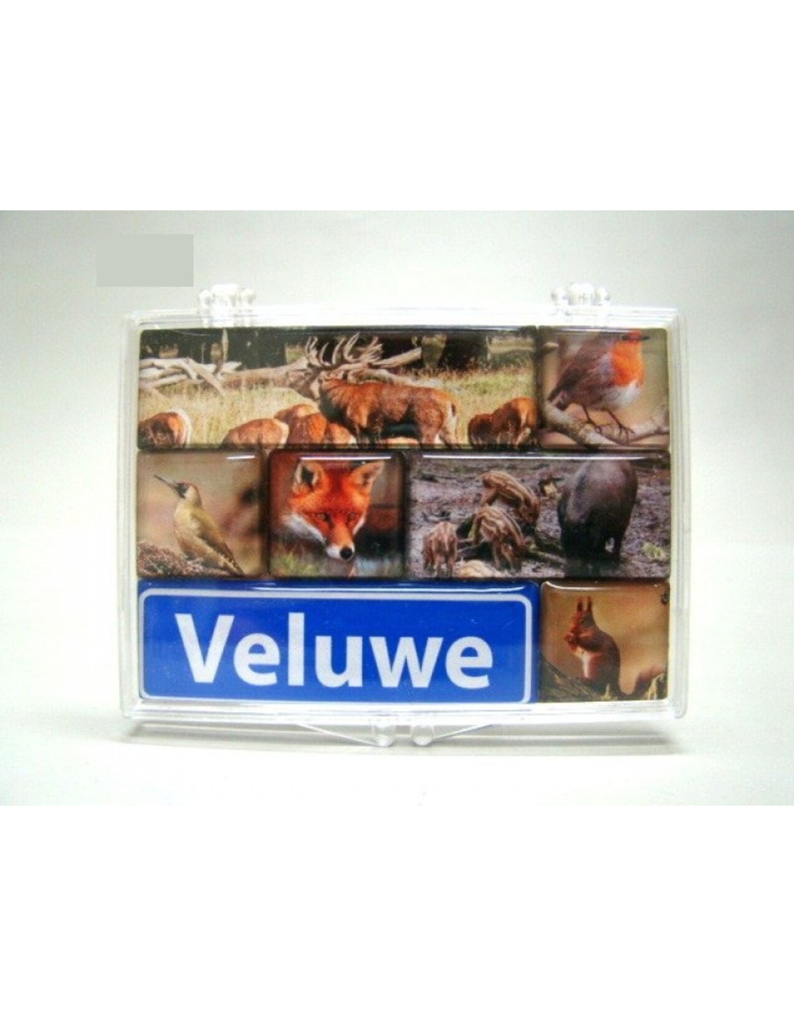 Magneet set Veluwe