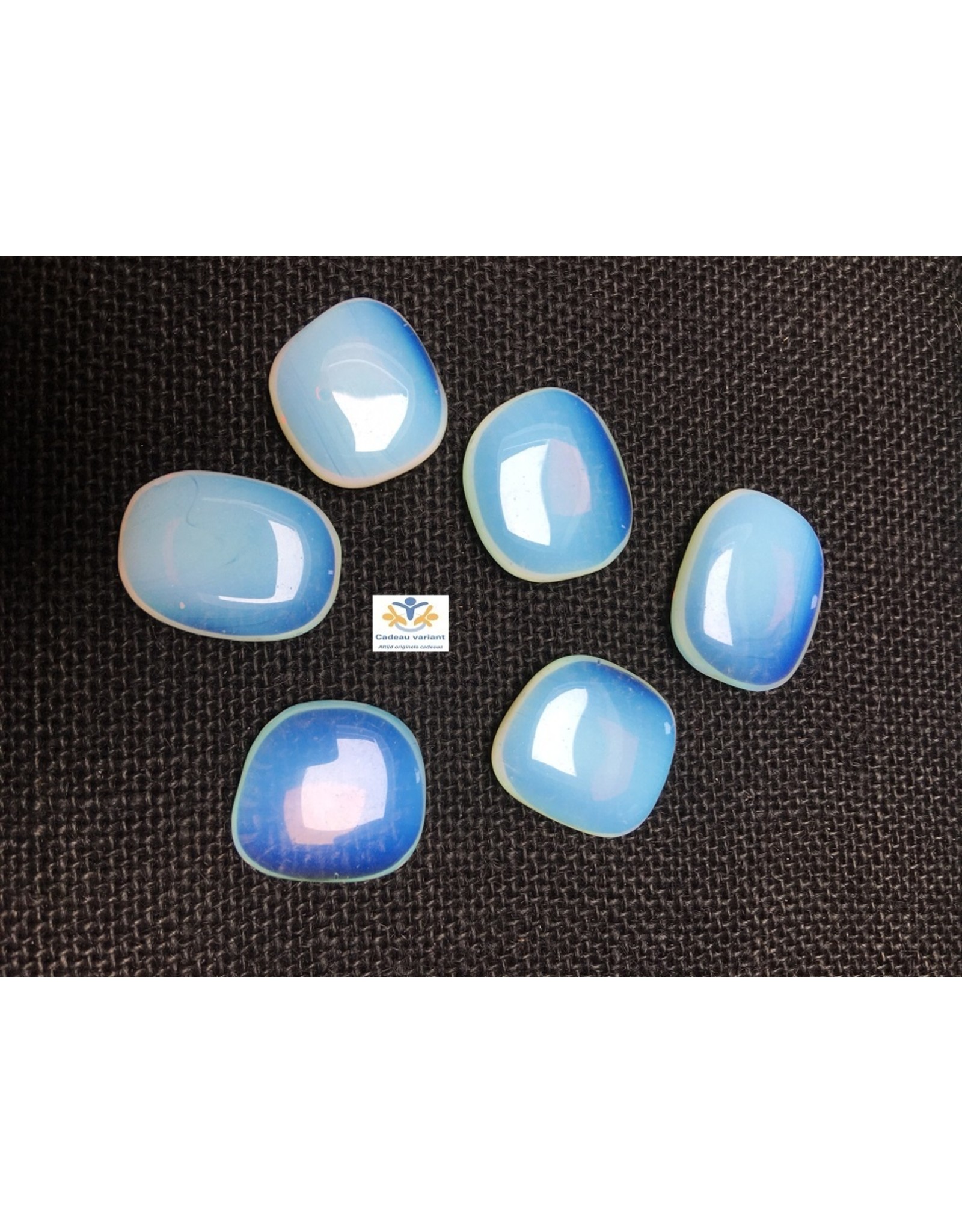 Opaliet schijfsteen zaksteen