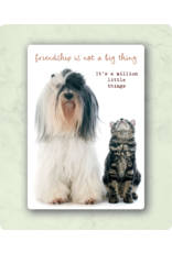 Zintenz Friendship is not a big thing briefkaart