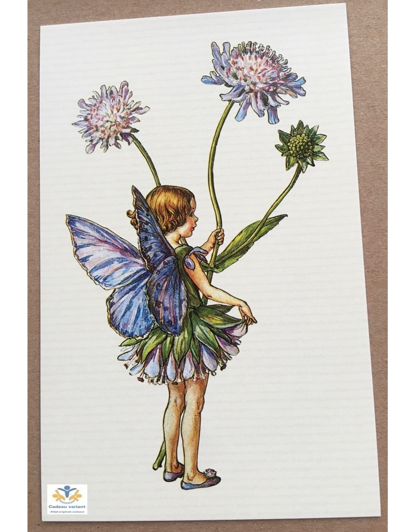 Fairy briefkaart Cicely Mary Barker 14