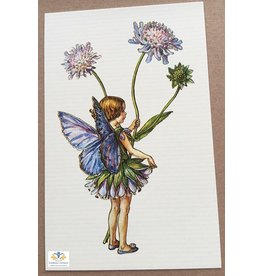 Fairy briefkaart Cicely Mary Barker 14
