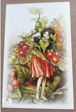 Fairy briefkaart Cicely Mary Barker 20