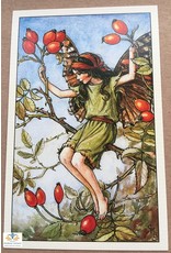 Fairy briefkaart Cicely Mary Barker 22