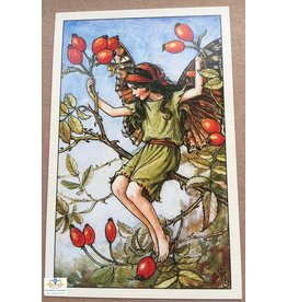 Fairy briefkaart Cicely Mary Barker 22