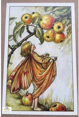 Fairy briefkaart Cicely Mary Barker 23