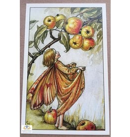 Fairy briefkaart Cicely Mary Barker 23