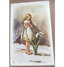 Fairy briefkaart Cicely Mary Barker 28