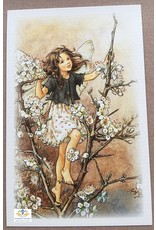 Fairy briefkaart Cicely Mary Barker 36