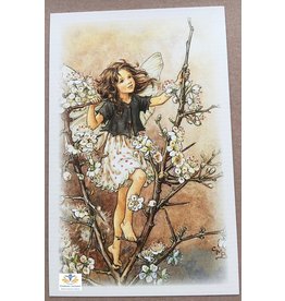 Fairy briefkaart Cicely Mary Barker 36
