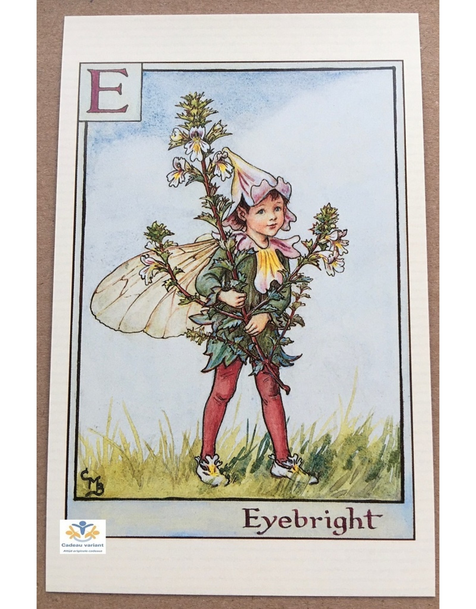 Fairy briefkaart Cicely Mary Barker 42
