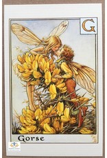 Fairy briefkaart Cicely Mary Barker 44