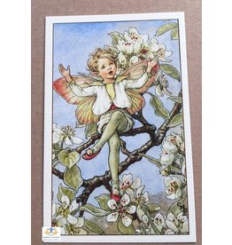 Fairy briefkaart Cicely Mary Barker 64