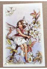 Fairy briefkaart Cicely Mary Barker 65