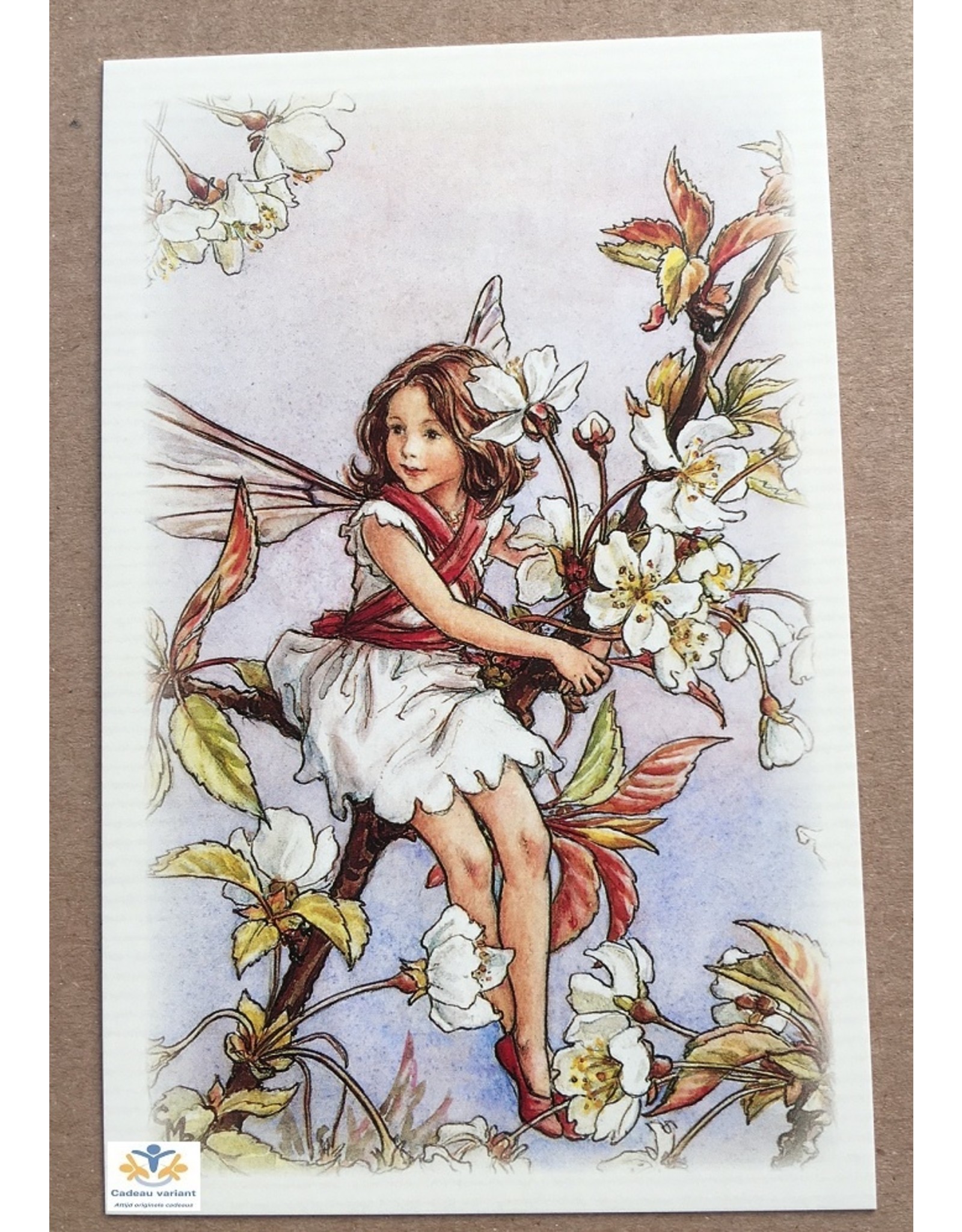 Fairy briefkaart Cicely Mary Barker 65