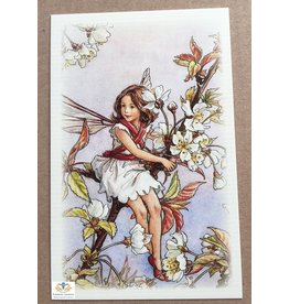 Fairy briefkaart Cicely Mary Barker 65