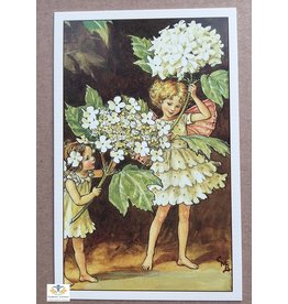 Fairy briefkaart Cicely Mary Barker 67