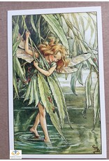 Fairy briefkaart Cicely Mary Barker 72