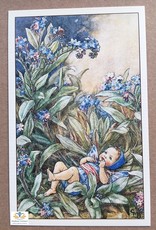 Fairy briefkaart Cicely Mary Barker 77