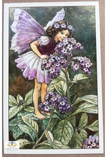 Fairy briefkaart Cicely Mary Barker 84