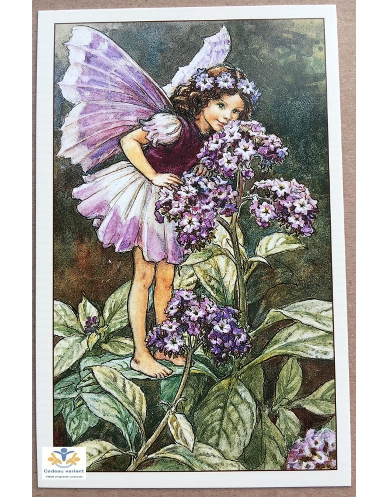 Fairy briefkaart Cicely Mary Barker 84