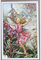 Fairy briefkaart Cicely Mary Barker 86