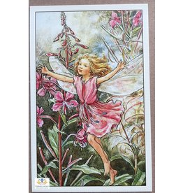 Fairy briefkaart Cicely Mary Barker 86