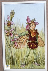 Fairy briefkaart Cicely Mary Barker 88