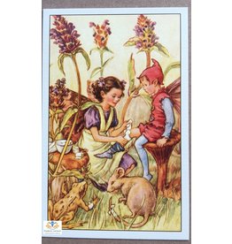 Fairy briefkaart Cicely Mary Barker 91