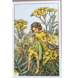 Fairy briefkaart Cicely Mary Barker 93