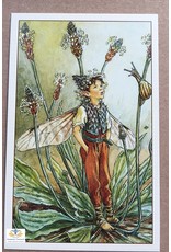 Fairy briefkaart Cicely Mary Barker 94