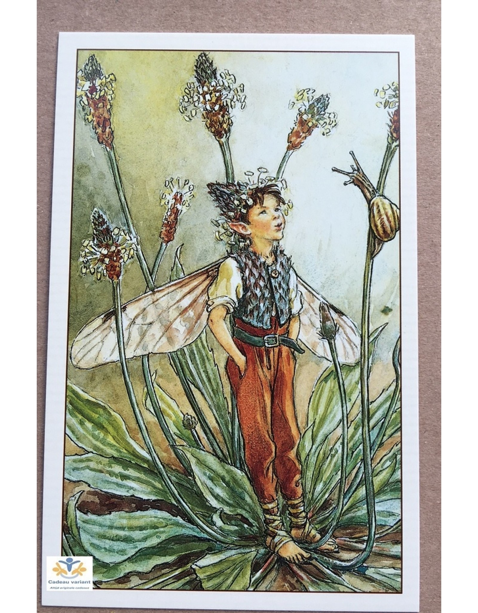 Fairy briefkaart Cicely Mary Barker 94