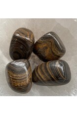 Stromatoliet edelsteen-fossiel