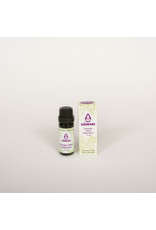 Sjankara Adem synergie olie Sjankara 11ml