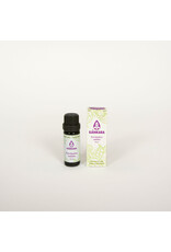 Sjankara Eucalyptus radiata BIO olie 11 ml