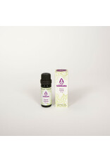 Sjankara Cypres BIO olie 11 ml  (cipres)