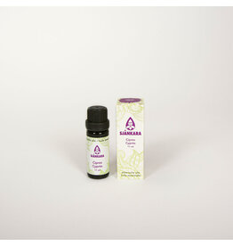 Sjankara Cypres BIO olie 11 ml  (cipres)