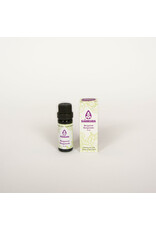 Sjankara Bergamot BIO olie 11 ml