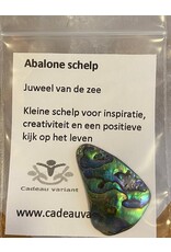 Abalone schelp cadeau