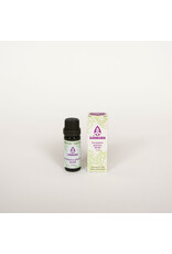 Sjankara Eucalyptus BIO olie 11 ml