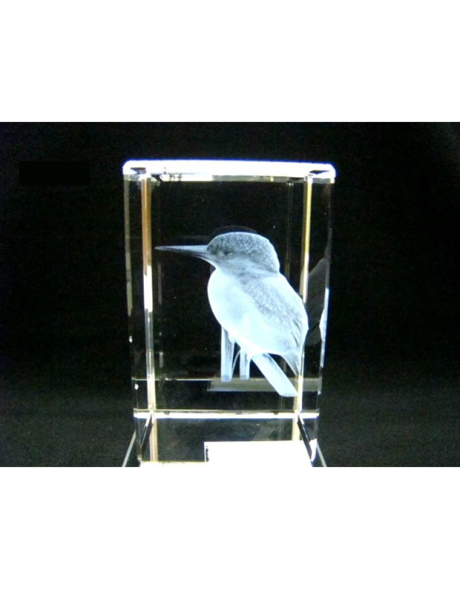 Ijsvogel glasblok